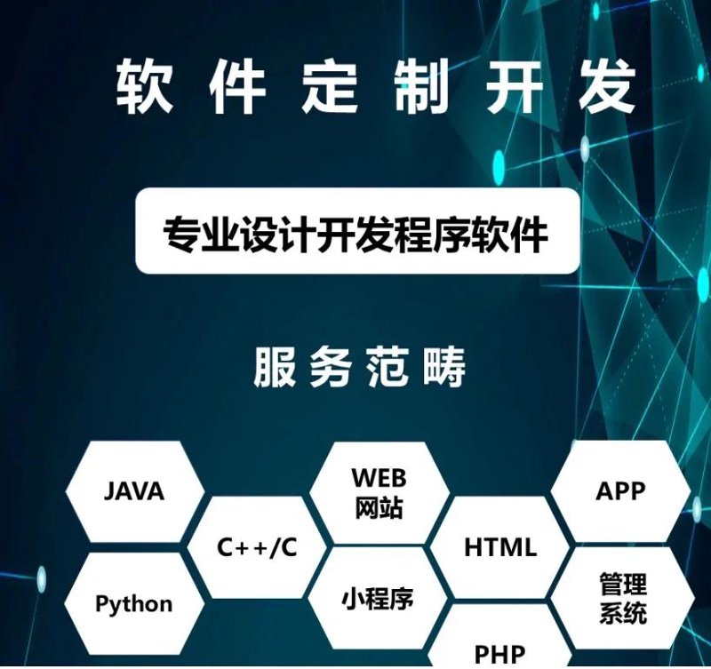 软件定制开发：企业成长的助力者