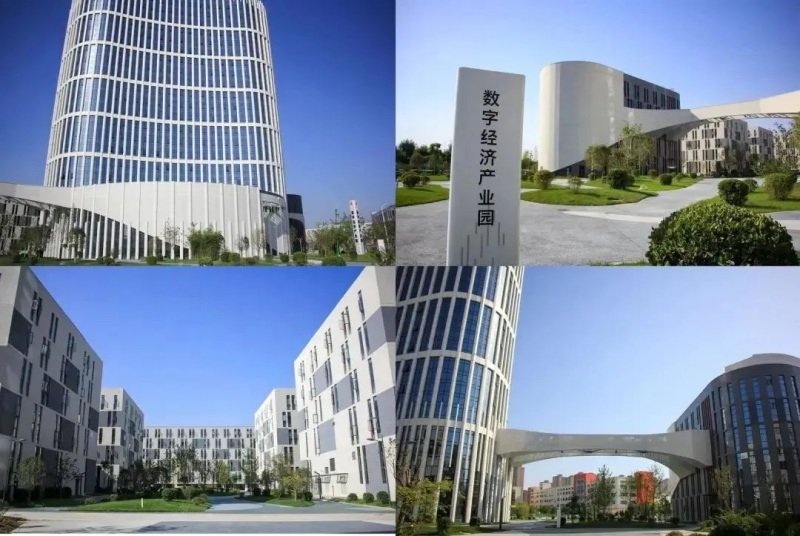管理系统开发引领企业数字化转型新时代